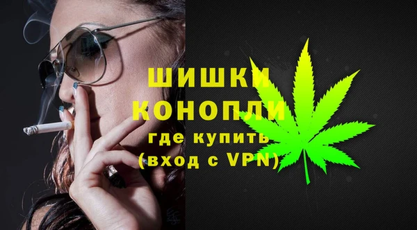 эйфоретик Новозыбков