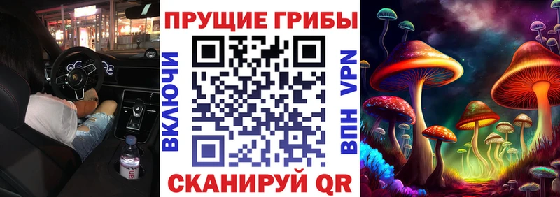 Галлюциногенные грибы MAGIC MUSHROOMS  Приозерск 