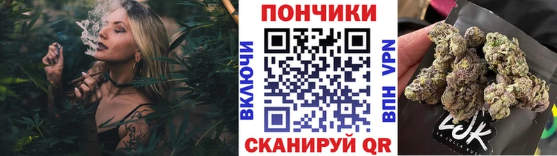 где продают наркотики  Приозерск  Канабис Amnesia 